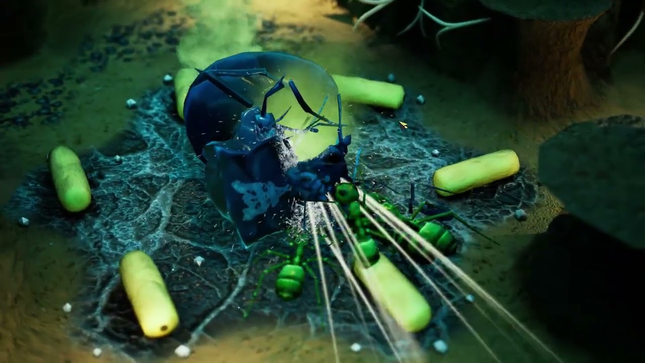 E M P I R E S O F U N D E R Gr O W T H