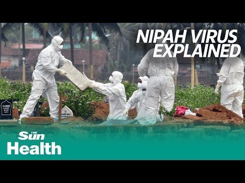 Video: Naujasis virusas „Nipah“iš Indijos ir kaip jis grasina