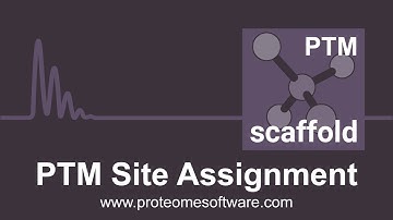 What is Scaffold PTM?