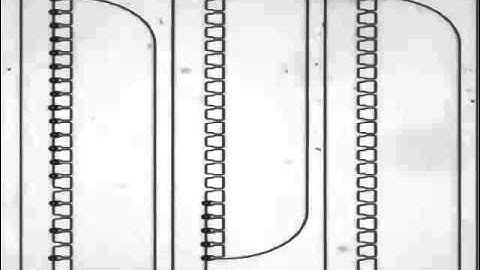 A high-efficiency microfluidic device for size-selective trapping and sorting