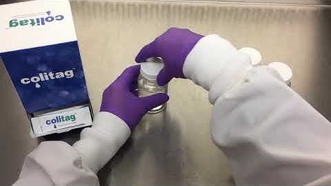 Colitag - The Easy to Use Presence/Absence Test with the Widest Testing Window