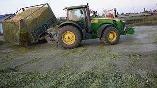 АО ПЗ Мелиоратор разгрузка на яме кукурузы на силос, трактором John Deere