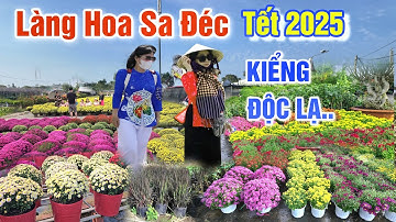 ĐỘC LẠ CHỢ HOA TẾT 2025 : XUẤT HIỆN KIỂNG TẾT LẠ CHƯA TỪNG THẤY LÀNG HOA SA ĐÉC