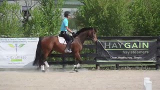 Adopted Kates Secret