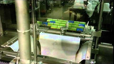 Case Packer 600CP Wepackit Machinery Gabletops