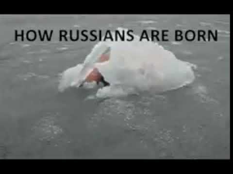 וִידֵאוֹ: איך ללמוד מקרים רוסיים