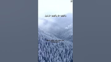 Surat At-Taghabun (The Mutual Disillusion)سورة التَّغابُن