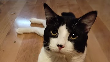 When Family Drifts Away: Dunbar’s Number, Estrangement, and Finding ConnectionDescription