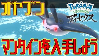 ポケモンアルセウス オヤブンのマンタインを入手しよう Pokemon Legends アルセウス Youtube