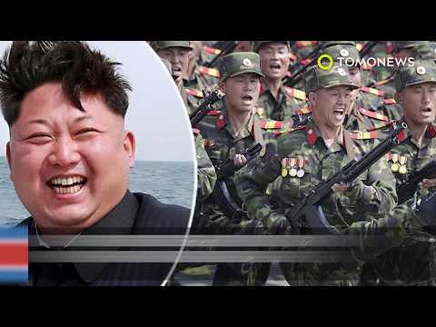 North Korea diet: Stomach of DPRK defector loaded with parasites - TomoNews