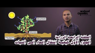 الحلقة الرابعة: الزراعة -  الجزء الأول – كيفية انتقال الماء الى النبات