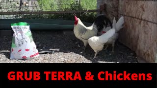 Chicken food and Grub Terra Snacks