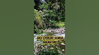 Aku Syukuri semua nikmat mu #renunganuah #motivasidiri #selfreminder #quotes#katahatimotivasi