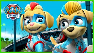 The Mighty Pups Stop Ladybird 🦅+ More Cartoons for Kids | PAW Patrol Episodes