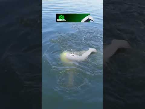 КОРАБЛЬ УТОНУЛ #shorts