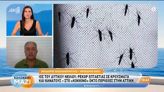 Ιός του Δυτικού Νείλου: Ρεκόρ επταετίας σε κρούσματα και θανάτους - Καλοκαίρι Μαζί - 25/08/2026