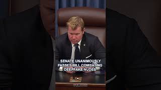 Senate Unanimously Passes Bill Combating Deepfake Nudes