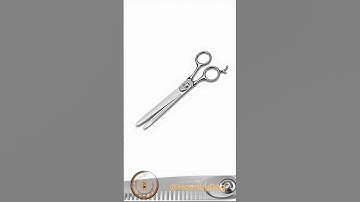 How Should Dog Grooming Scissors Be Properly Sharpened? ✂️🐕 #quiz #dog #DogGroomingTips