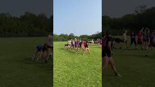 IMG 6246