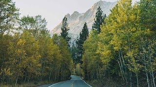 Fall in Yosemite @SamuelElkinsPhoto
