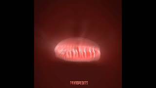 Bugatti Chiron Supersport 300 Edit Best Edit Of Bugatti