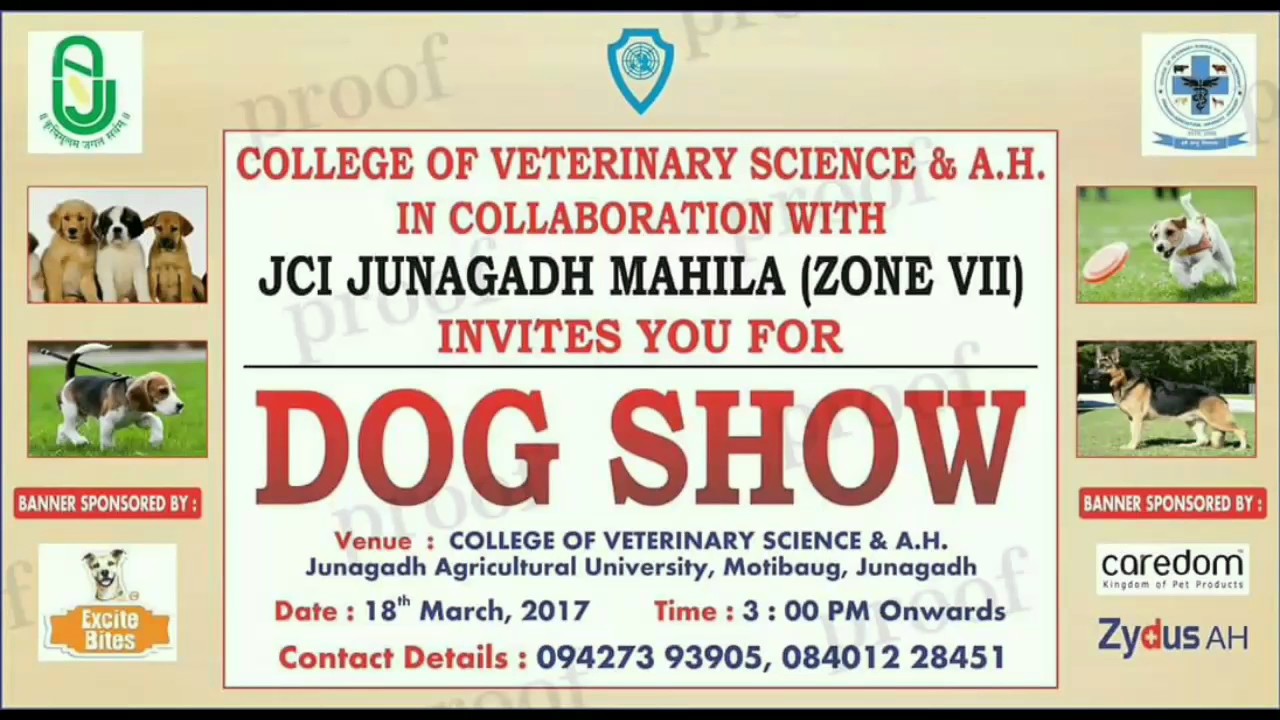 Dog show at veterinary college Junagadh YouTube