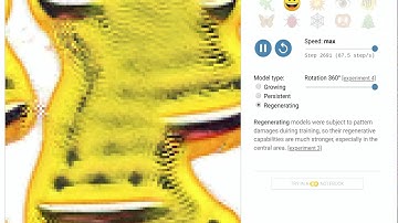 Growing Neural Cellular Automata - Sample 6