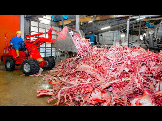 Amazing Process of How JELLY is Made | GELATIN Manufacturing Process class=