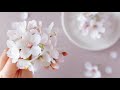 樹脂粘土で作る桜の花　DIY Cherry Blossoms Clay Flower クレイフラワー