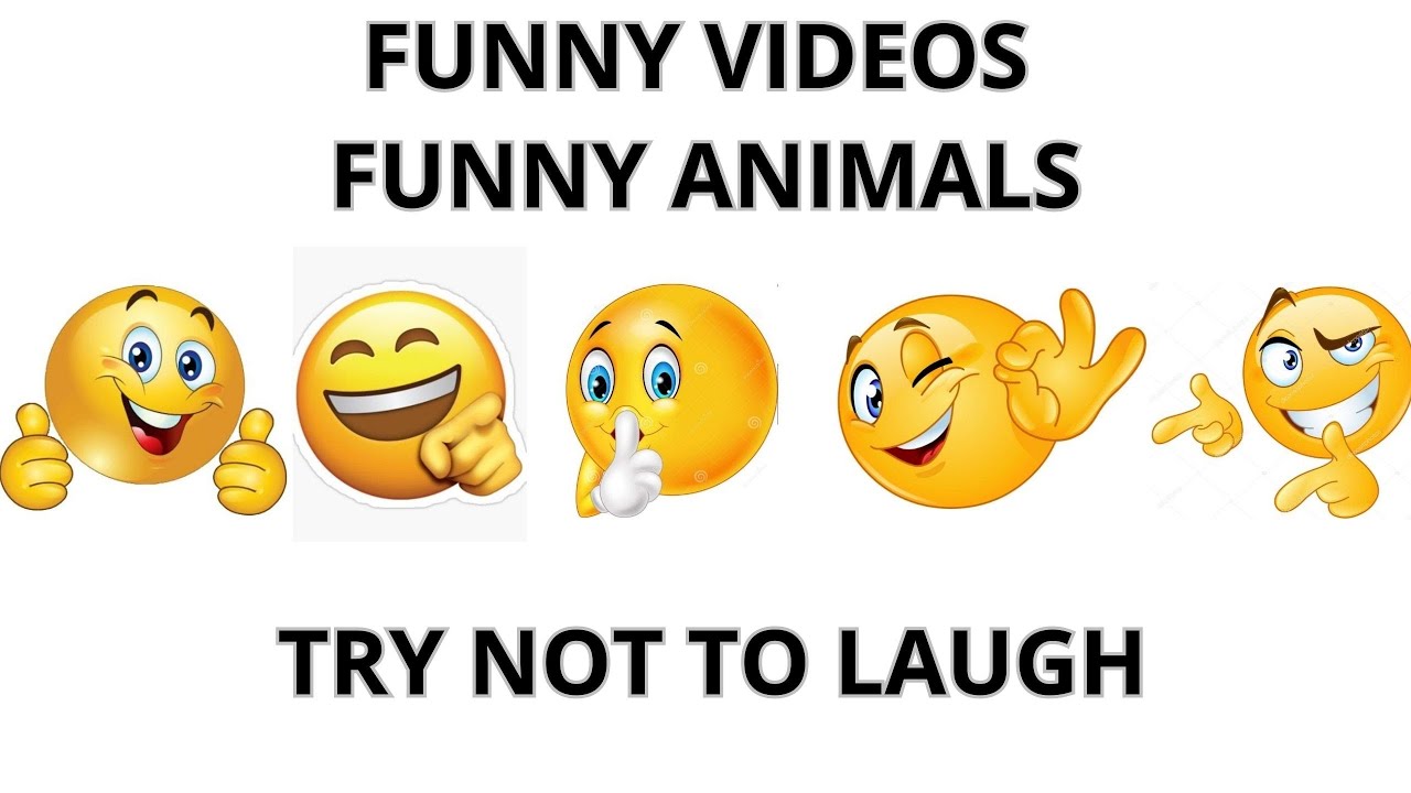 FUNNY VIDEO / PART 02 / FUNNY MOMENTS/ FUNNIEST ANIMALS / CUTTING THE