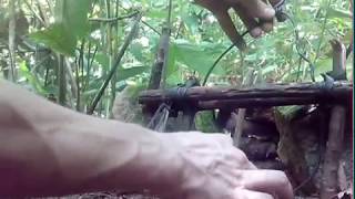 Armadilha de caça para gambá e lagarto parte 2