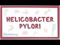 Helicobacter pylori