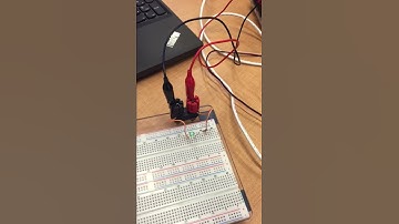 EECS 1021 Laboratory 2: LED Blinking