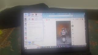 Talking Tom Screaming Has Bsod