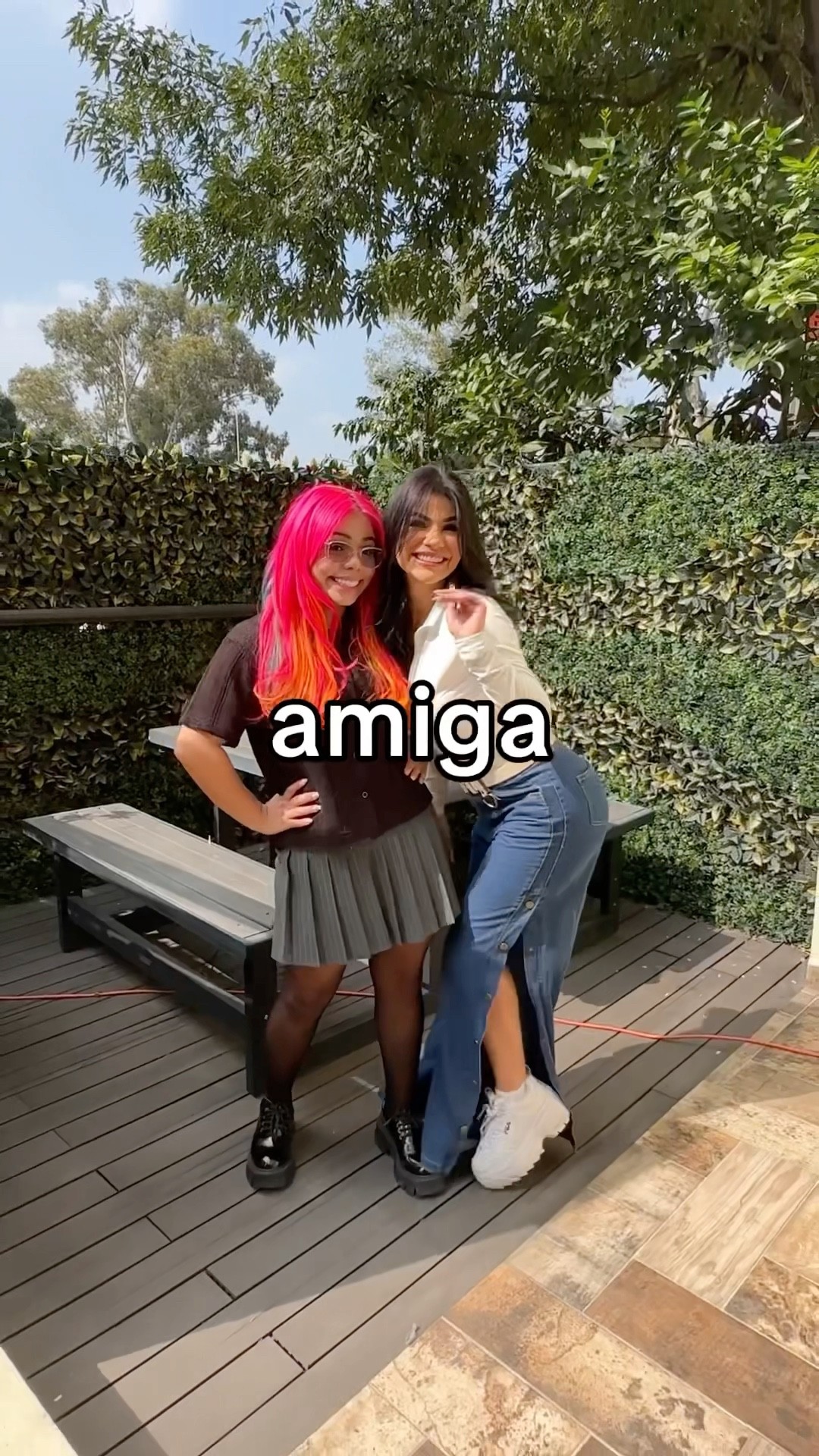 MI NUEVA MASCOTA