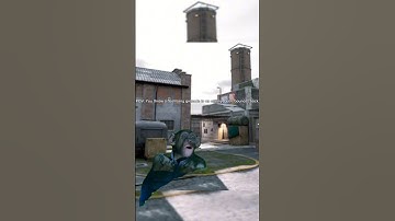 POV:You throw a flashbang grenade #codm #codmobile #codmmemes