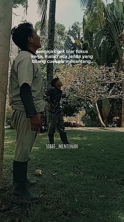 Download lagu Masak sih broo 🫣