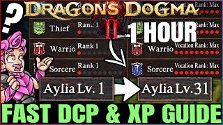 Dragon's Dogma 2 - Get ANY Vocation to Rank 9 FAST \& EARLY - Best DCP \& XP Farm Leveling Guide!