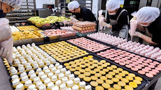 하루 기본 5000개 생산? 공주땅콩 아몬드 가루로 만든 담백쫀득한 마카롱 대량생산 현장 | How Macaron is made in factory | Korean Dessert