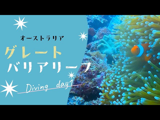 グレートバリアリーフ潜ってきた！ - YouTube