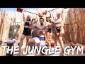 JUNGLE GYM WORKOUT ft. The Jungle Squad...