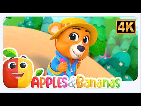 The Bear Went Over The Mountain Nursery Rhyme And More Kindergarten Music For Kids