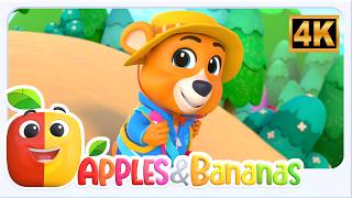 bear went over mountain nursery rhyme more kindergarten