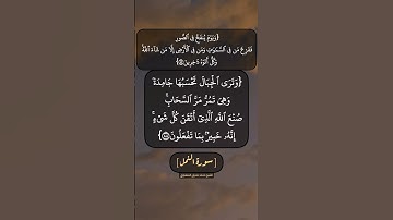 سورة النمل الآية ٨٧ الى ٨٩ بصوت الشيخ محمد صديق المنشاوي