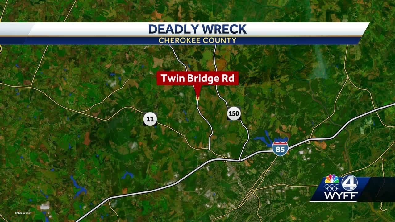 Driver dies in crash after veering off South Carolina road, hitting ...