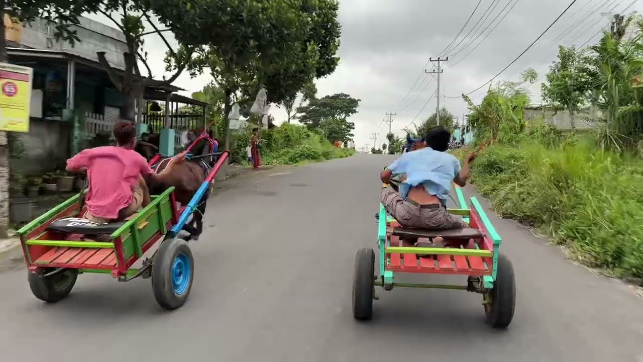 Part II Balap Kuda Gerobak Aspal Coboy LOMBOK NTB