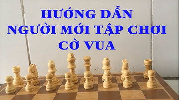 CỜ VUA CHO BÉ | HƯỚNG DẪN CÁCH ĐI CÁC QUÂN CỜ DÀNH CHO BẠN MỚI TẬP , MỚI LÀM QUEN VỚI CỜ VUA