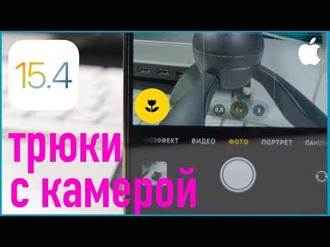 Лучшие фишки и трюки с камерой на iPhone (2022)