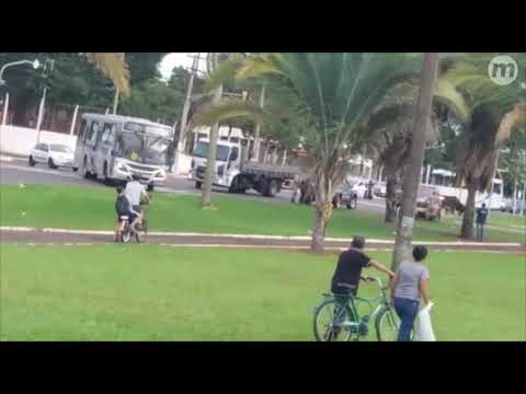 Touro solto descontrolado na Guaicurus deixa duas pessoas feridas