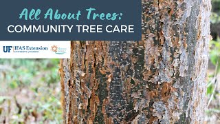 All About Trees: Community Tree Care by UF IFAS Extension Manatee County 255 views 1 year ago 1 hour, 25 minutes